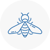 Bee Nest Removal Darwen