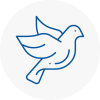 Bird Prevention Darwen