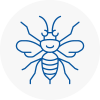 Darwen Hornet Nest Removals