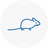 Mice Exterminators In Darwen