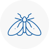 Moth Control Specialists In Darwen