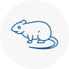Rat Control Darwen