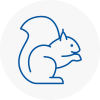 Darwen Rodent Removals
